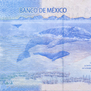 PESOS MEXICAIN MXN WEB change-or-argent