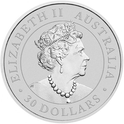 Côté pile de la pièce en argent "Koala" de 1Kg - Australie